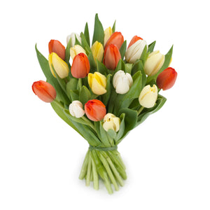 Tulpen 'Oranje gemengd'