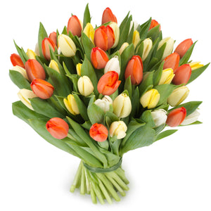 Tulpen 'Oranje gemengd'