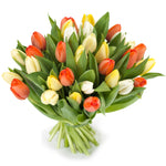 Afbeelding in Gallery-weergave laden, Tulpen &#39;Oranje gemengd&#39;
