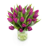 Afbeelding in Gallery-weergave laden, Tulpen &#39;Paars&#39;
